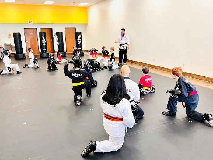 Reveal Martial Arts Southlake Picture 1