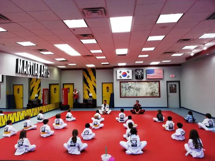 J Tiger martial Arts Trophy club Picture 1