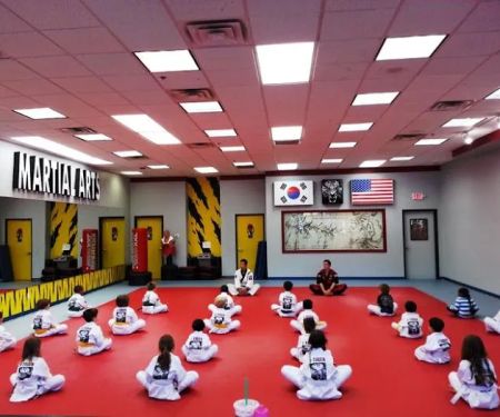 J Tiger martial Arts Trophy club