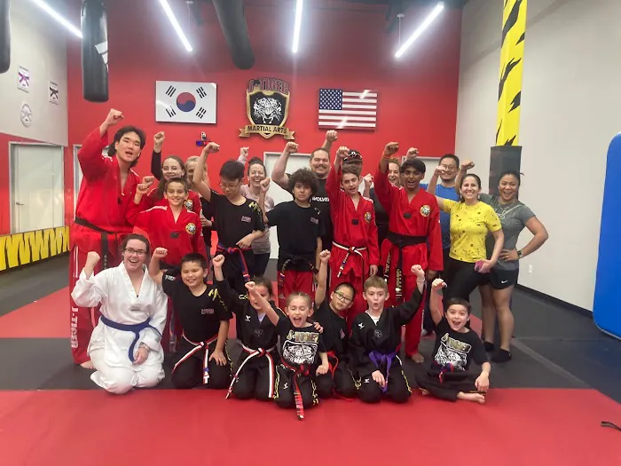 J Tiger martial Arts Trophy club Picture 5