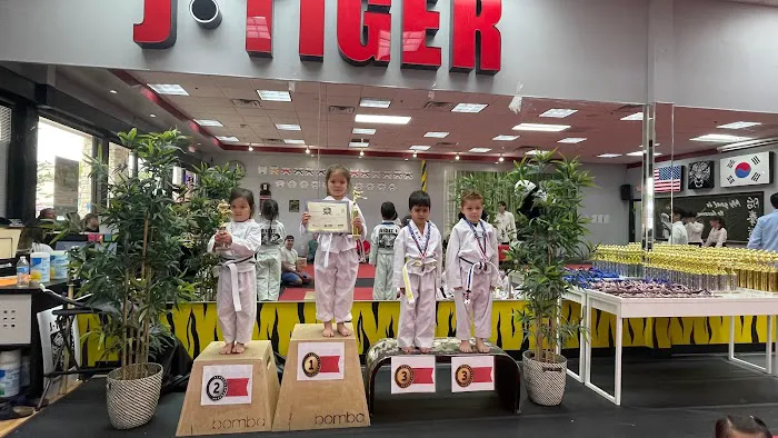 J Tiger martial Arts Trophy club Picture 7