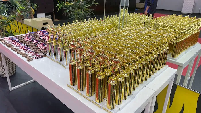 J Tiger martial Arts Trophy club Picture 8