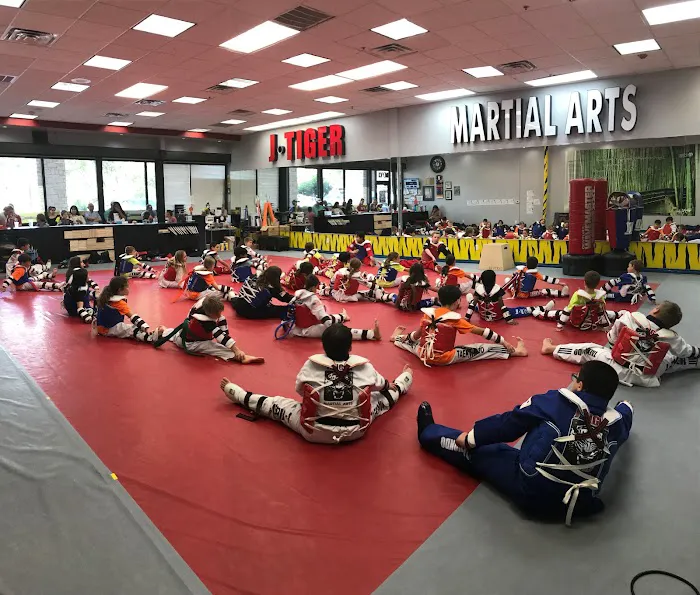 J Tiger Martial Arts Picture 7