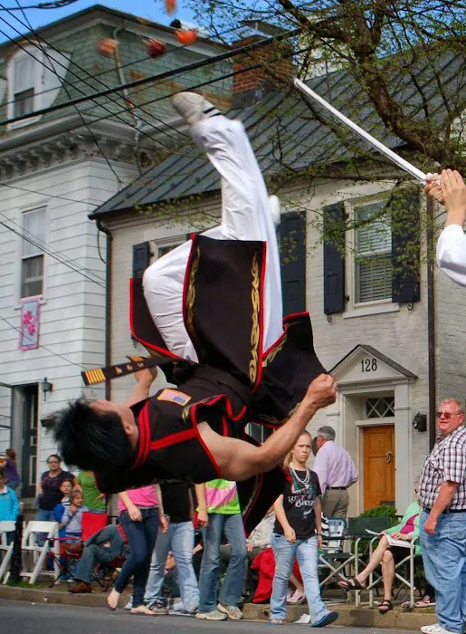 J Tiger Martial Arts Picture 8