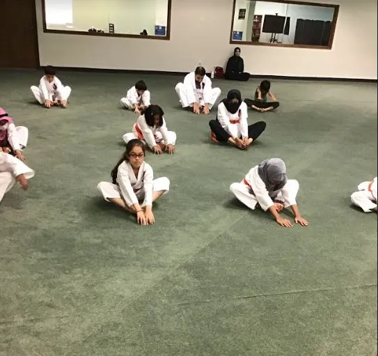 Shaw Martial Arts Picture 2