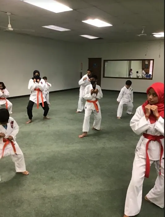 Shaw Martial Arts Picture 4