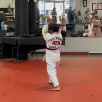 Vanguard Martial Arts ico