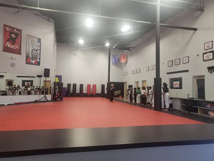 Vanguard Martial Arts Picture 2