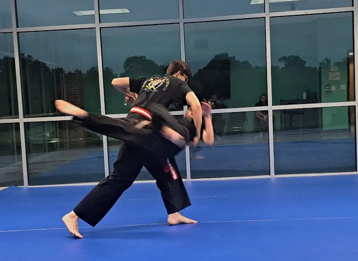 Tong Il Lo Martial Science Picture 1