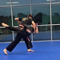 Tong Il Lo Martial Science ico