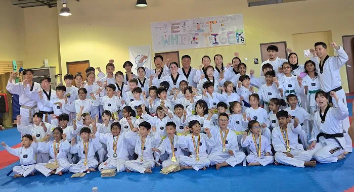 Elite White Tiger Taekwondo(Coppell/Lewisville TX) Picture 6