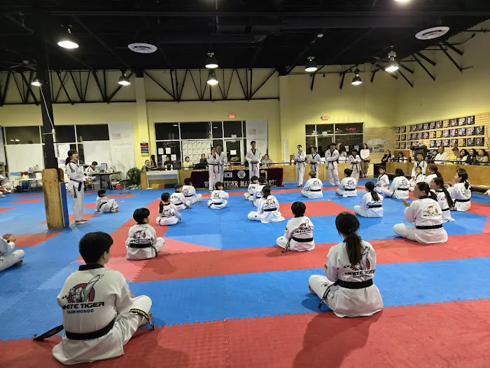Elite White Tiger Taekwondo(Coppell/Lewisville TX) Picture 3
