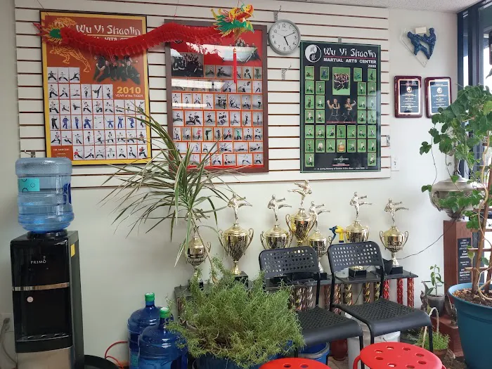 Wu Yi Shaolin Martial Arts Picture 2