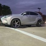 Wu Yi Shaolin Martial Arts