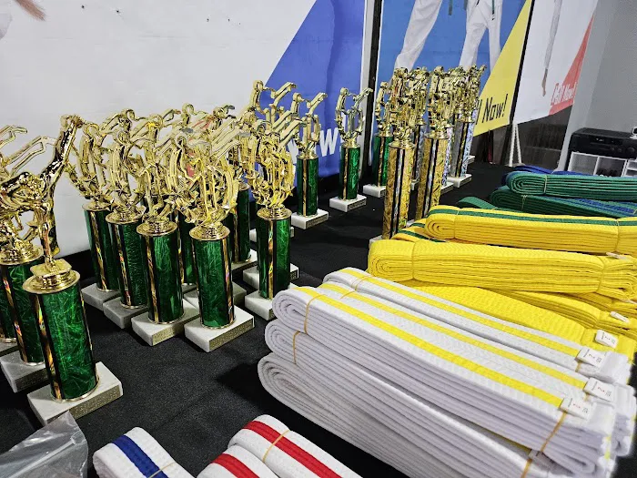 Master Chang's Martial Arts Coppell Picture 5