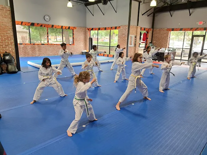 Master Chang's Martial Arts Coppell Picture 8