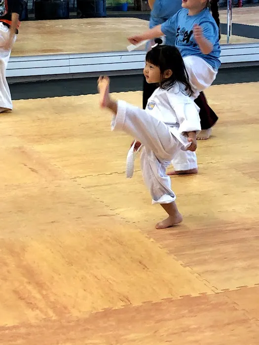 Top Kick Martial Arts Carrollton&Lewisville TX Picture 10