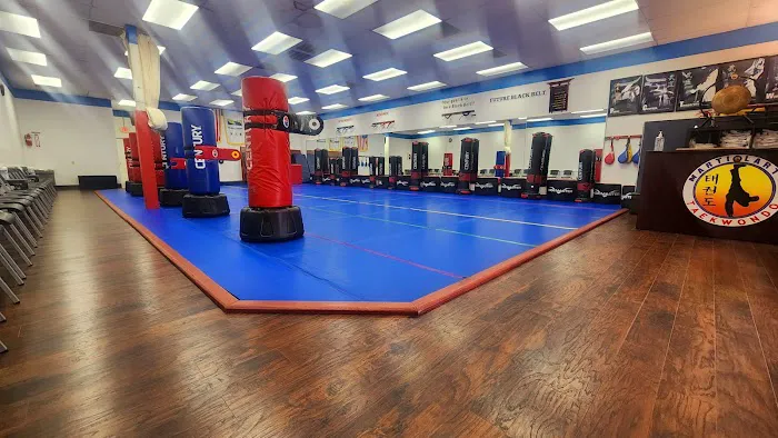 Martial Arts Tae Kwon Do Picture 1