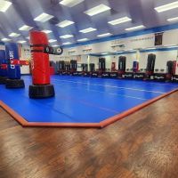 Martial Arts Tae Kwon Do ico