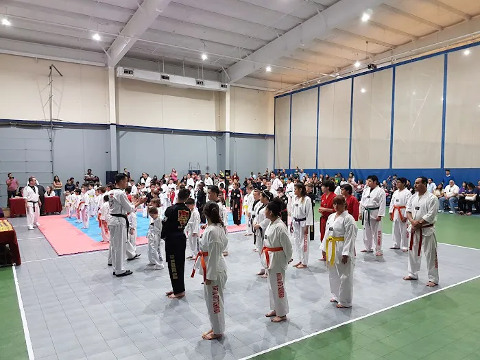 Martial Arts Tae Kwon Do Picture 5