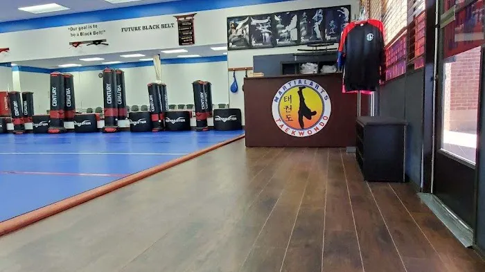 Martial Arts Tae Kwon Do Picture 10