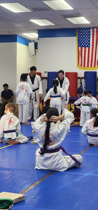 Martial Arts Tae Kwon Do Picture 9