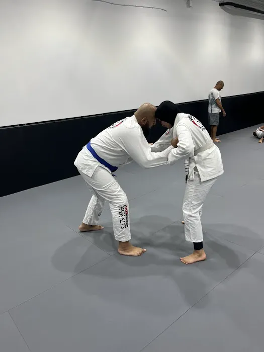 Sixth Sense Martial Arts Picture 2