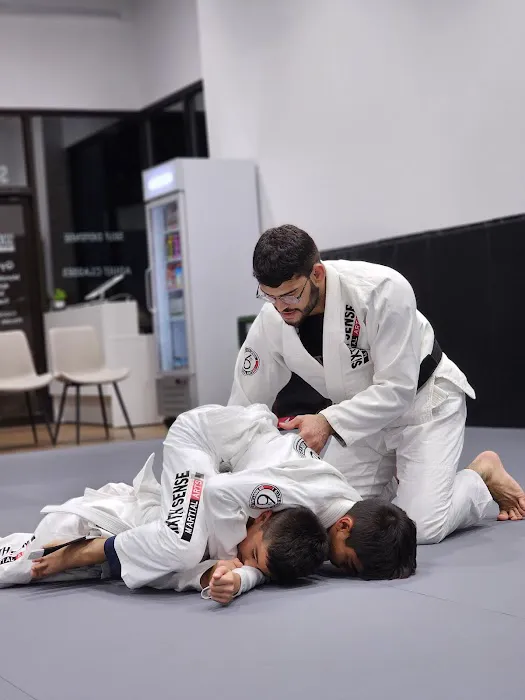 Sixth Sense Martial Arts Picture 4