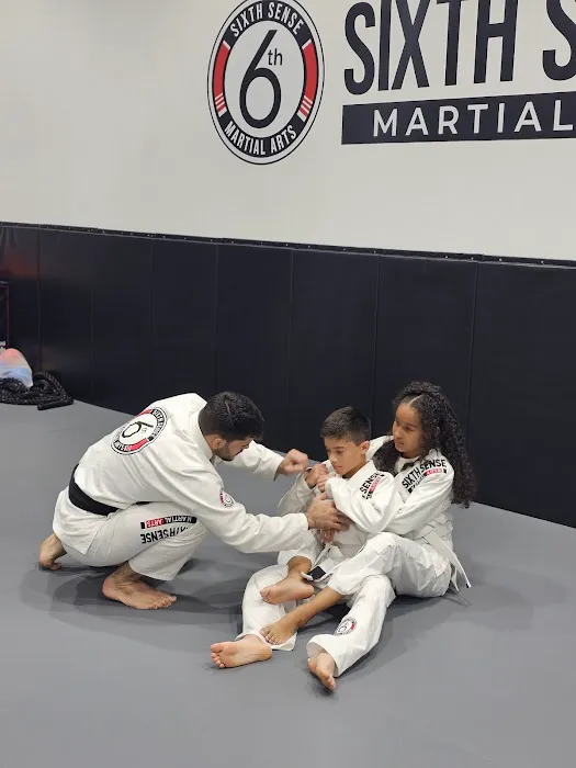 Sixth Sense Martial Arts Picture 8