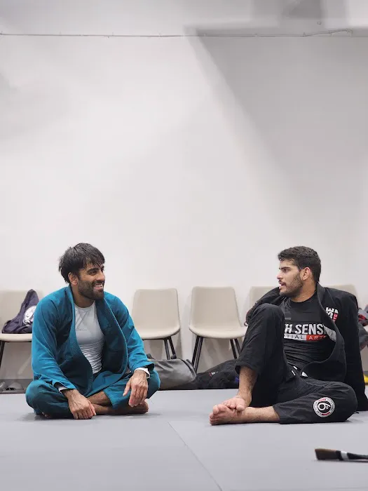 Sixth Sense Martial Arts Picture 9