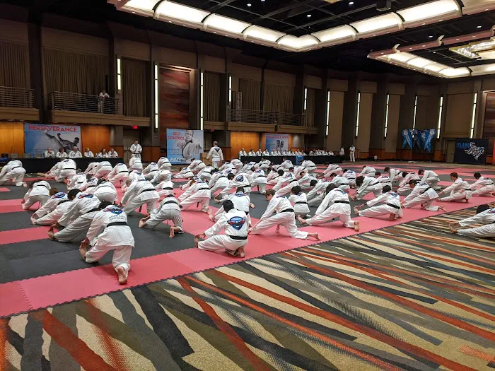 Flower Mound Taekwondo & Krav Maga Picture 6