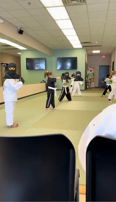 Premier Martial Arts Flower Mound Picture 3