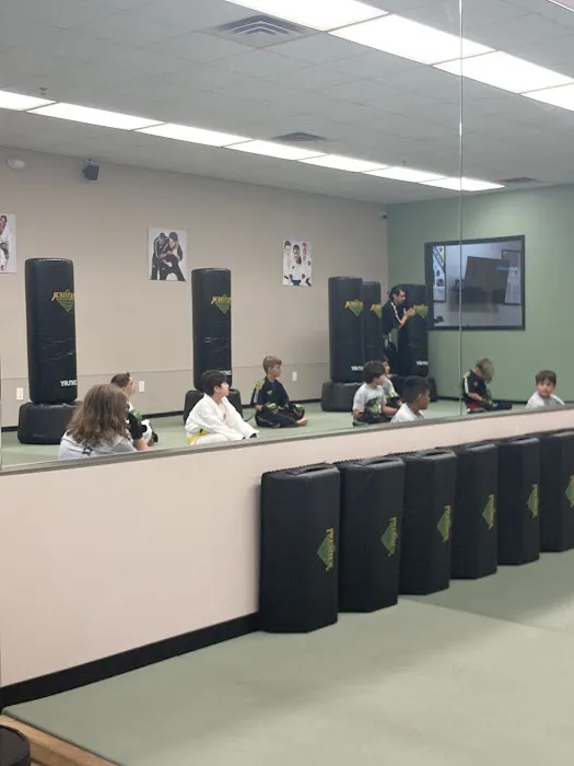 Premier Martial Arts Flower Mound Picture 4