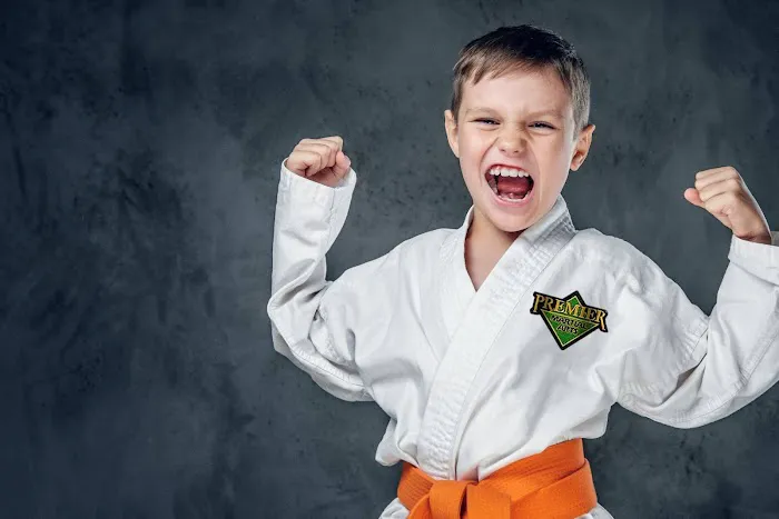 Premier Martial Arts Flower Mound Picture 8