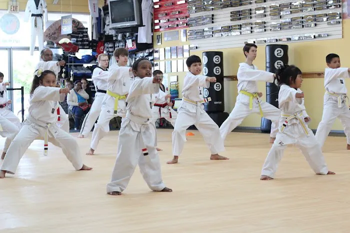 United States Taekwondo Academy Picture 3