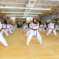 United States Taekwondo Academy ico