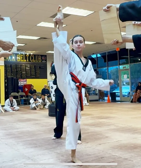 United States Taekwondo Academy Picture 4