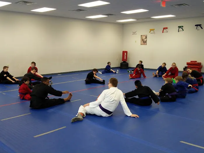 North Dallas Martial Arts Picture 1