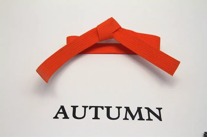 North Dallas Martial Arts Picture 6