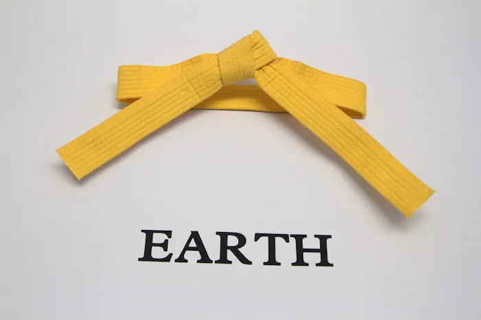 North Dallas Martial Arts Picture 5