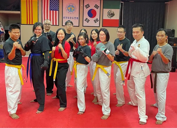 Golden Tiger Taekwondo Picture 4