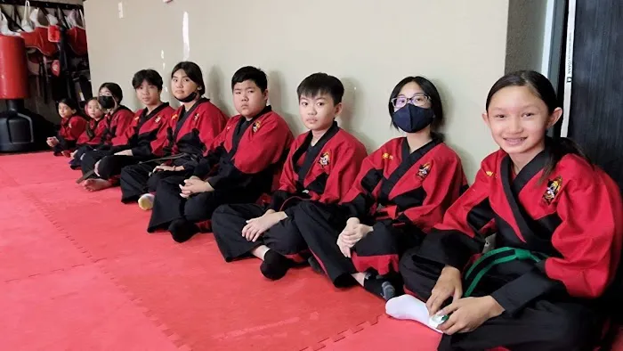 Golden Tiger Taekwondo Picture 2