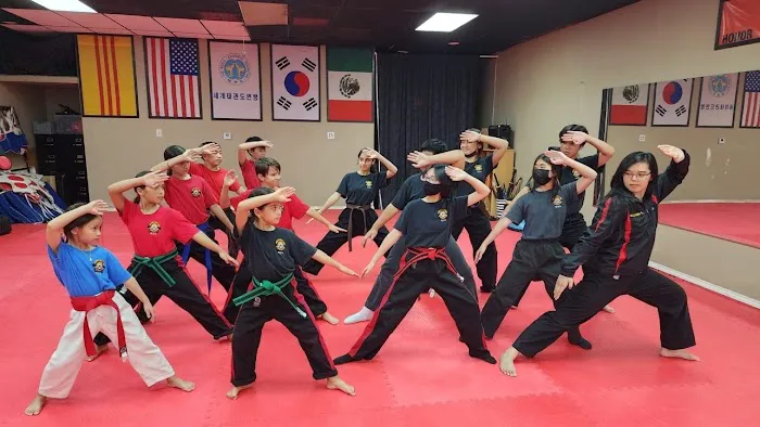Golden Tiger Taekwondo Picture 3