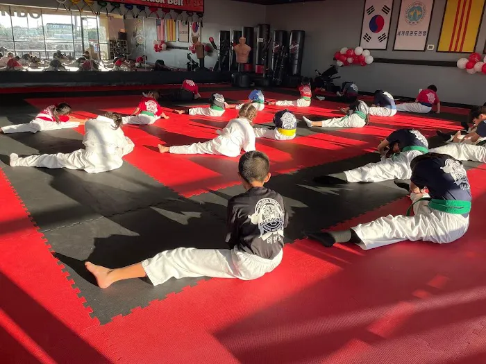 Golden Tiger Taekwondo Picture 5