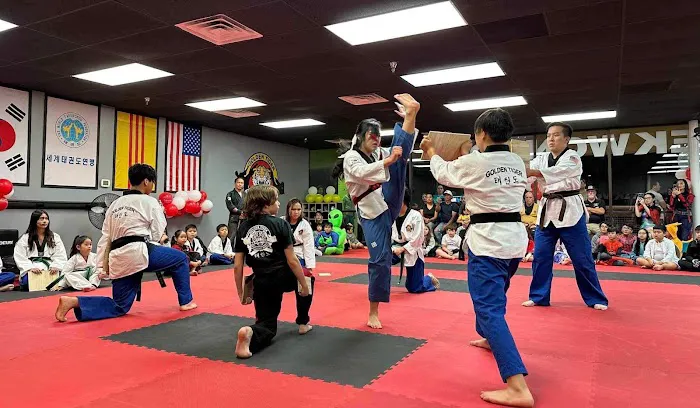 Golden Tiger Taekwondo Picture 7