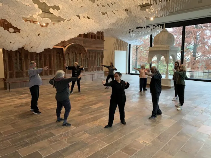 Young's Tai Chi Picture 3