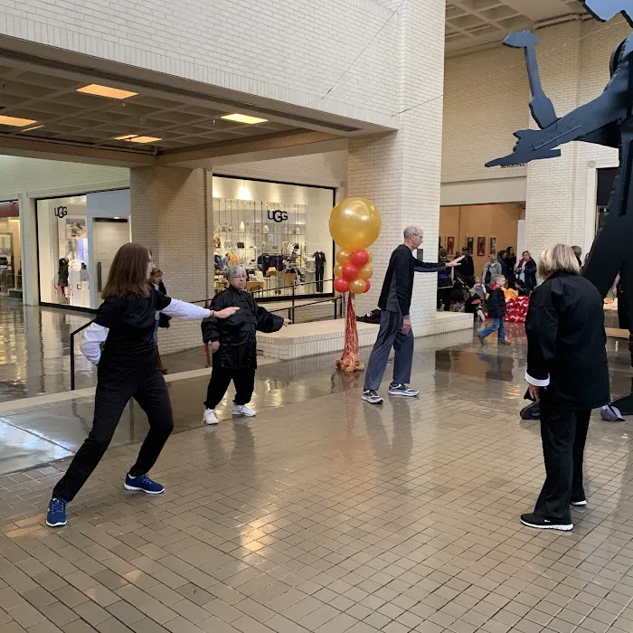 Young's Tai Chi Picture 7