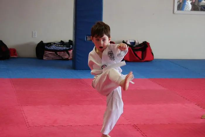 MU DO MARTIAL ARTS Picture 3