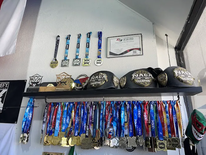 Academy of Champions Jiu Jitsu in Dallas Picture 1