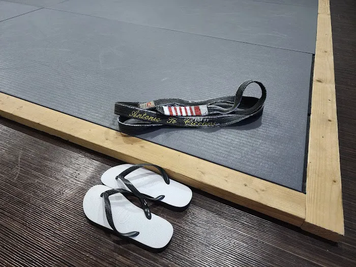 Academy of Champions Jiu Jitsu in Dallas Picture 5